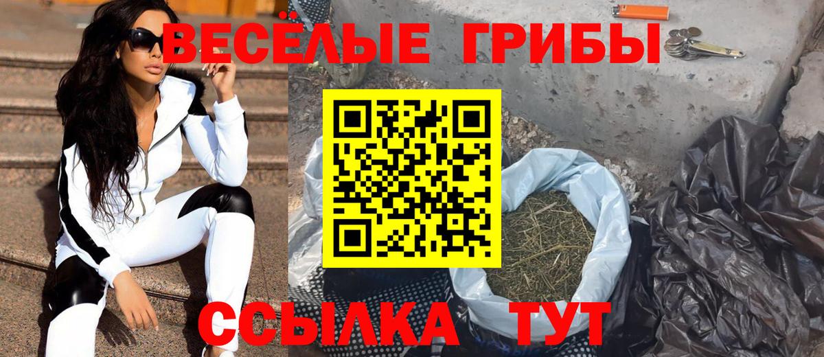 закладки  Вход с VPN  Петропавловск-Камчатский  Псилоцибиновые грибы мицелий 